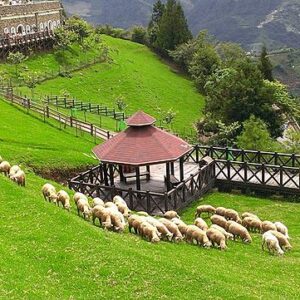 Taiwan -Western Taiwan Discovery- 7 days 6 nights Package