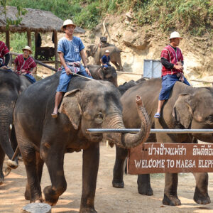 Thailand-Chiangmai + Pai (01-Night in Pai) Package