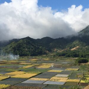 Indonesia-Lombok Paradise- 4 days 3 nights Package